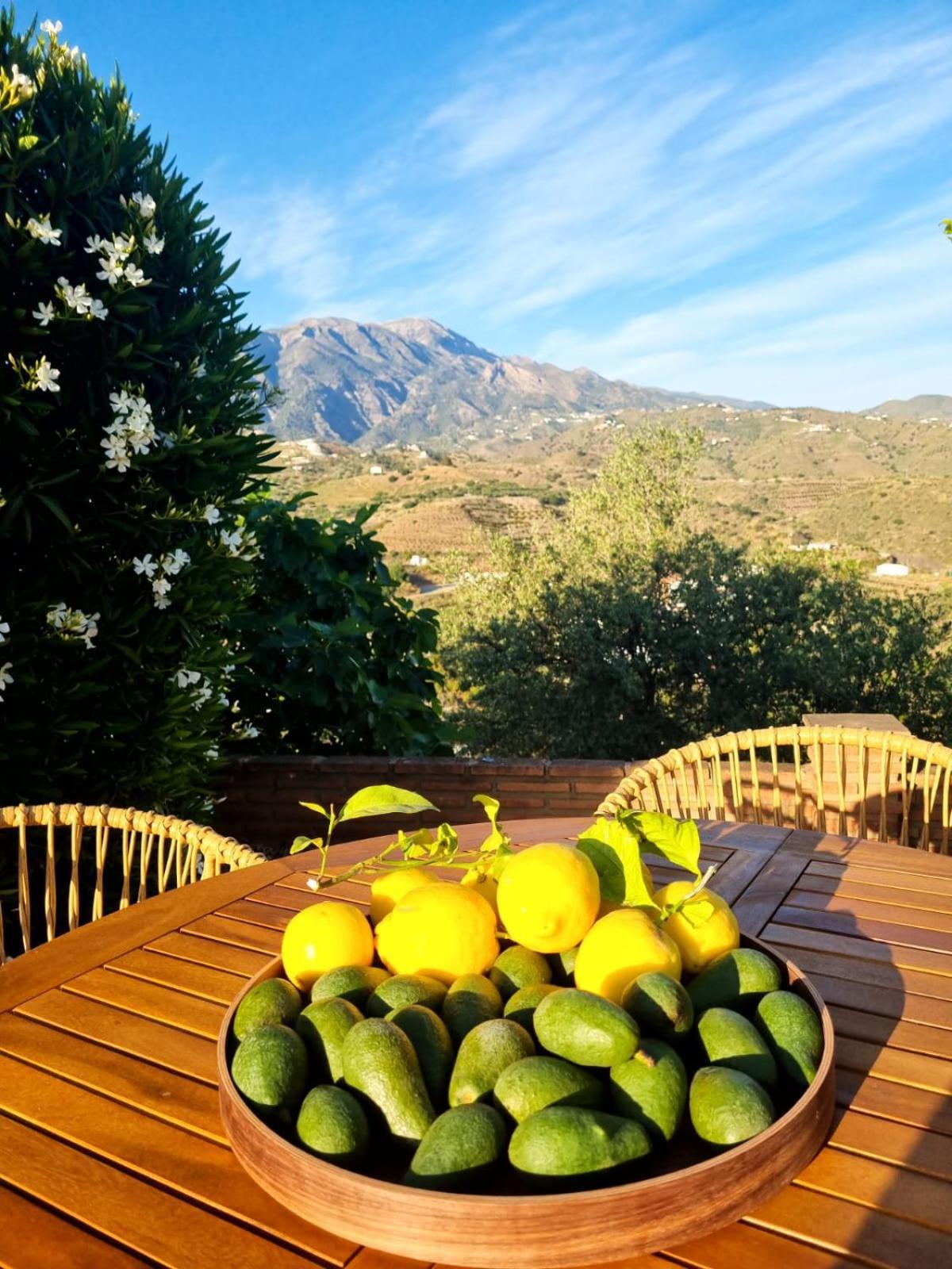 La Vista Vinuela Bed & Breakfast ภายนอก รูปภาพ