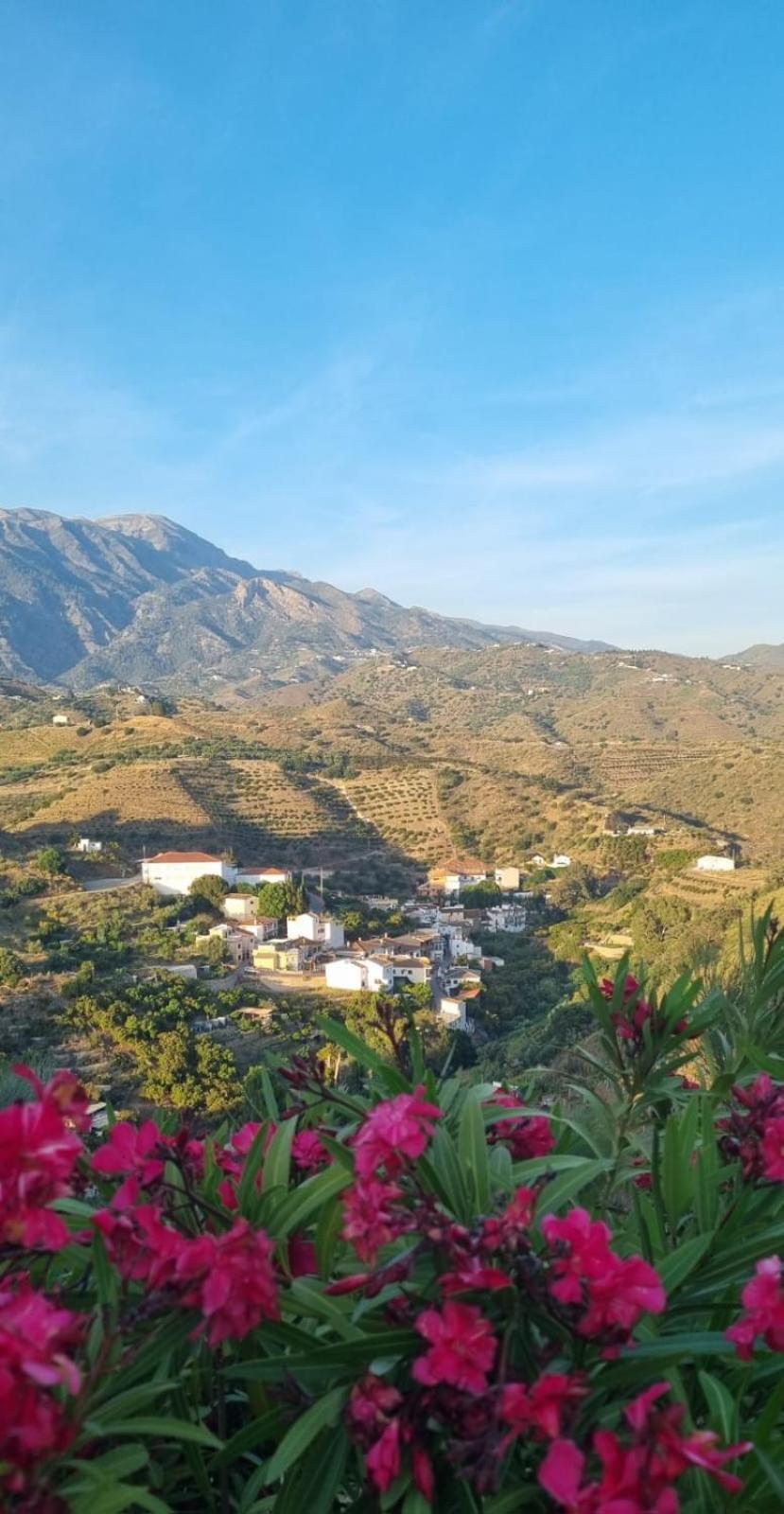 La Vista Vinuela Bed & Breakfast ภายนอก รูปภาพ